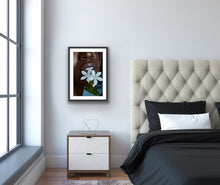 Load image into Gallery viewer, Florescence