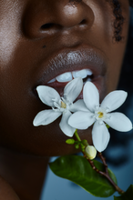 Load image into Gallery viewer, Florescence