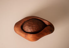 Load image into Gallery viewer, Hold