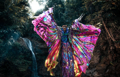 A Peacock Becomes the Window of the Universe