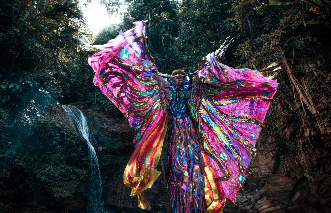 A Peacock Becomes the Window of the Universe